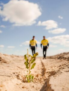 6e1747f36aadf44492be581c71b497ff